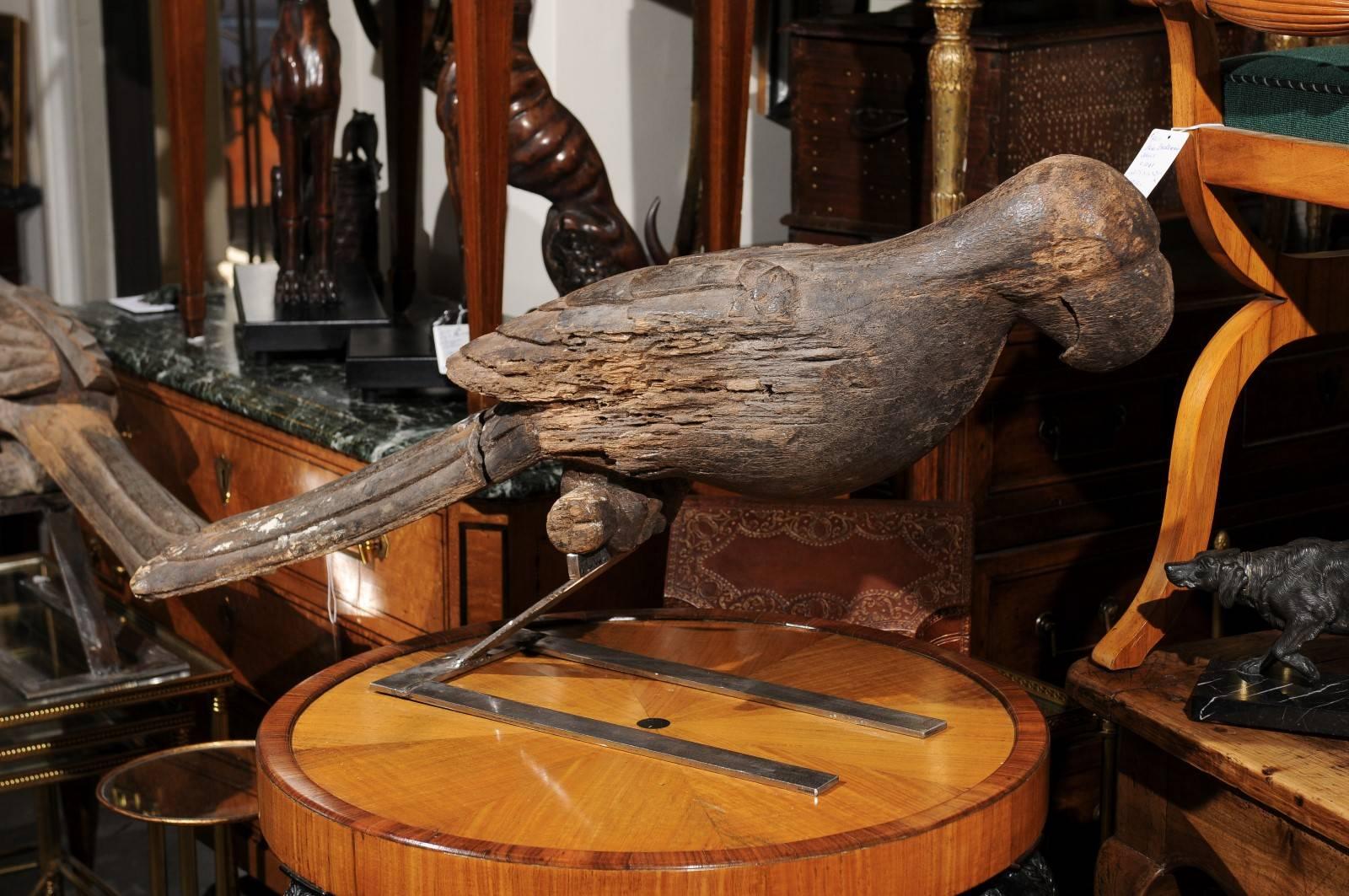 Ein Paar lebensgroßer italienischer geschnitzter hölzerner Papageienskulpturen aus dem späten 19. Jahrhundert, montiert auf modernen Stahlsockeln. Ich habe mich sofort in dieses geschnitzte Papageienpaar verliebt, als ich es zum ersten Mal sah! Das