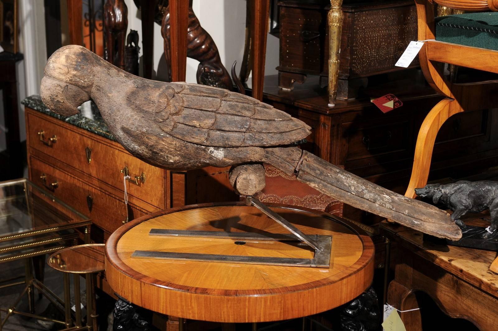 Pair of Italian Carved Wooden Parrots circa 1880, Mounted on Modern Steel Bases For Sale 1