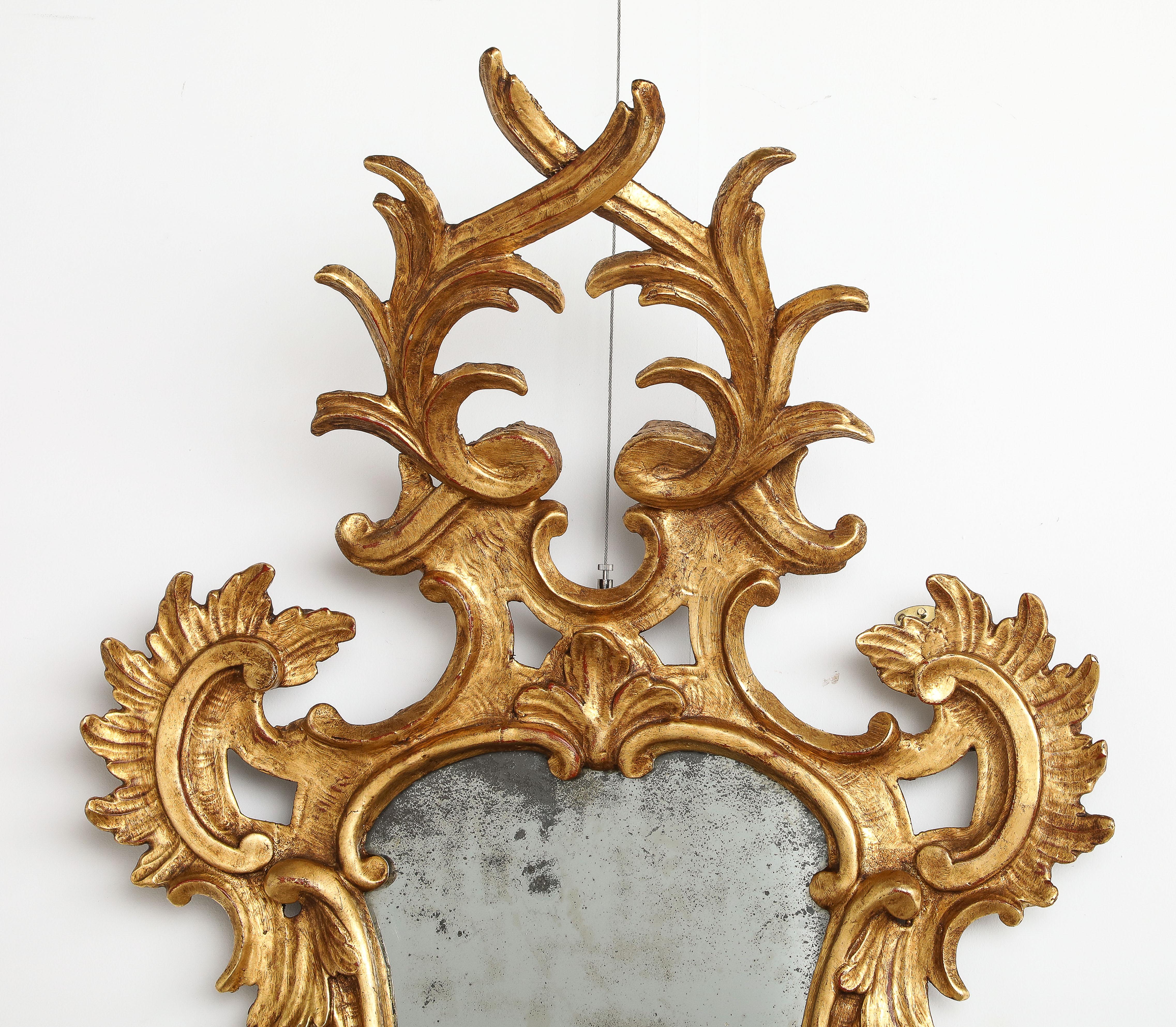 Pair of Italian Eighteenth Century Rococo Carved and Gilded Wood Mirrors For Sale 5