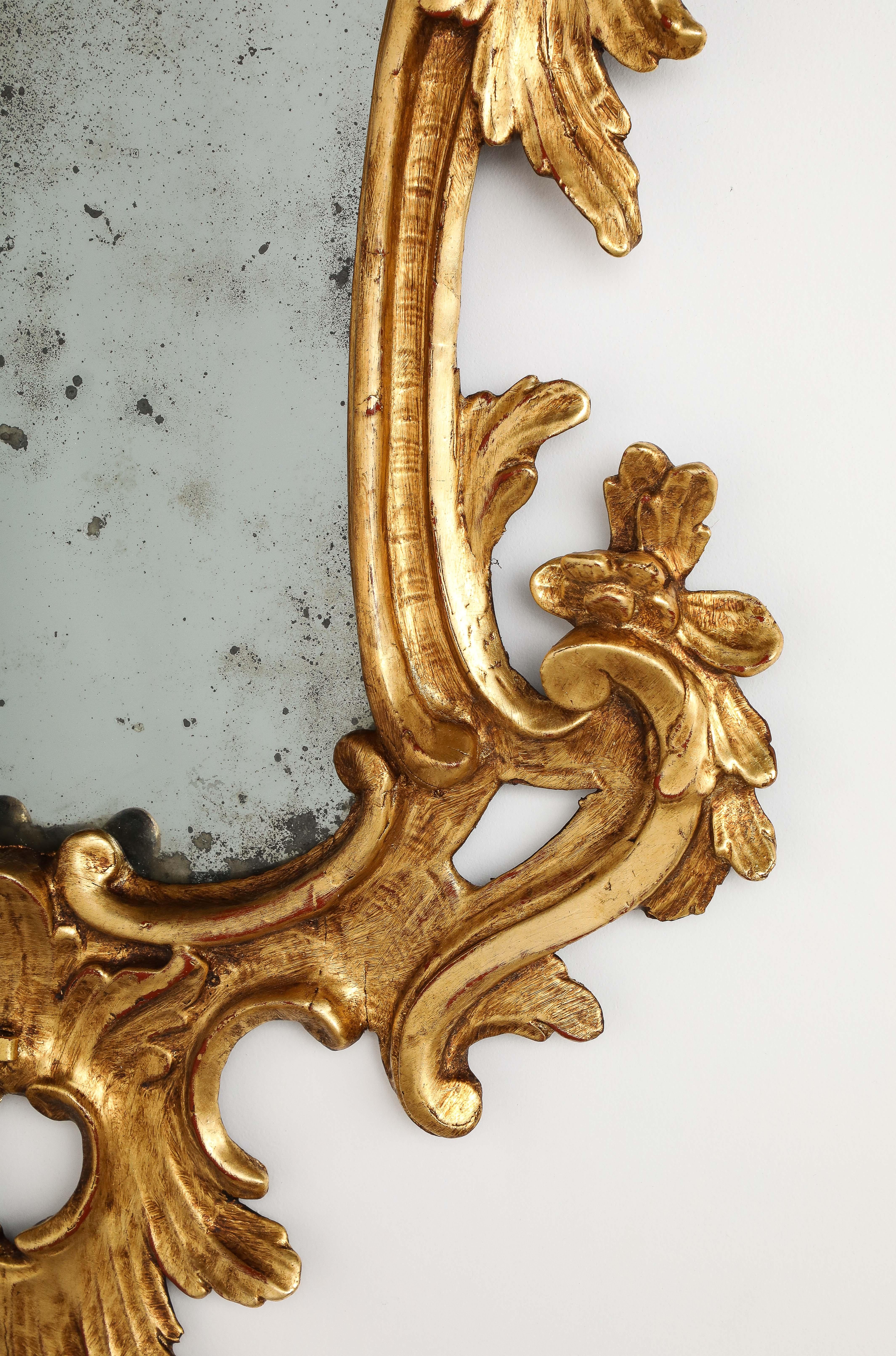 Pair of Italian Eighteenth Century Rococo Carved and Gilded Wood Mirrors For Sale 14