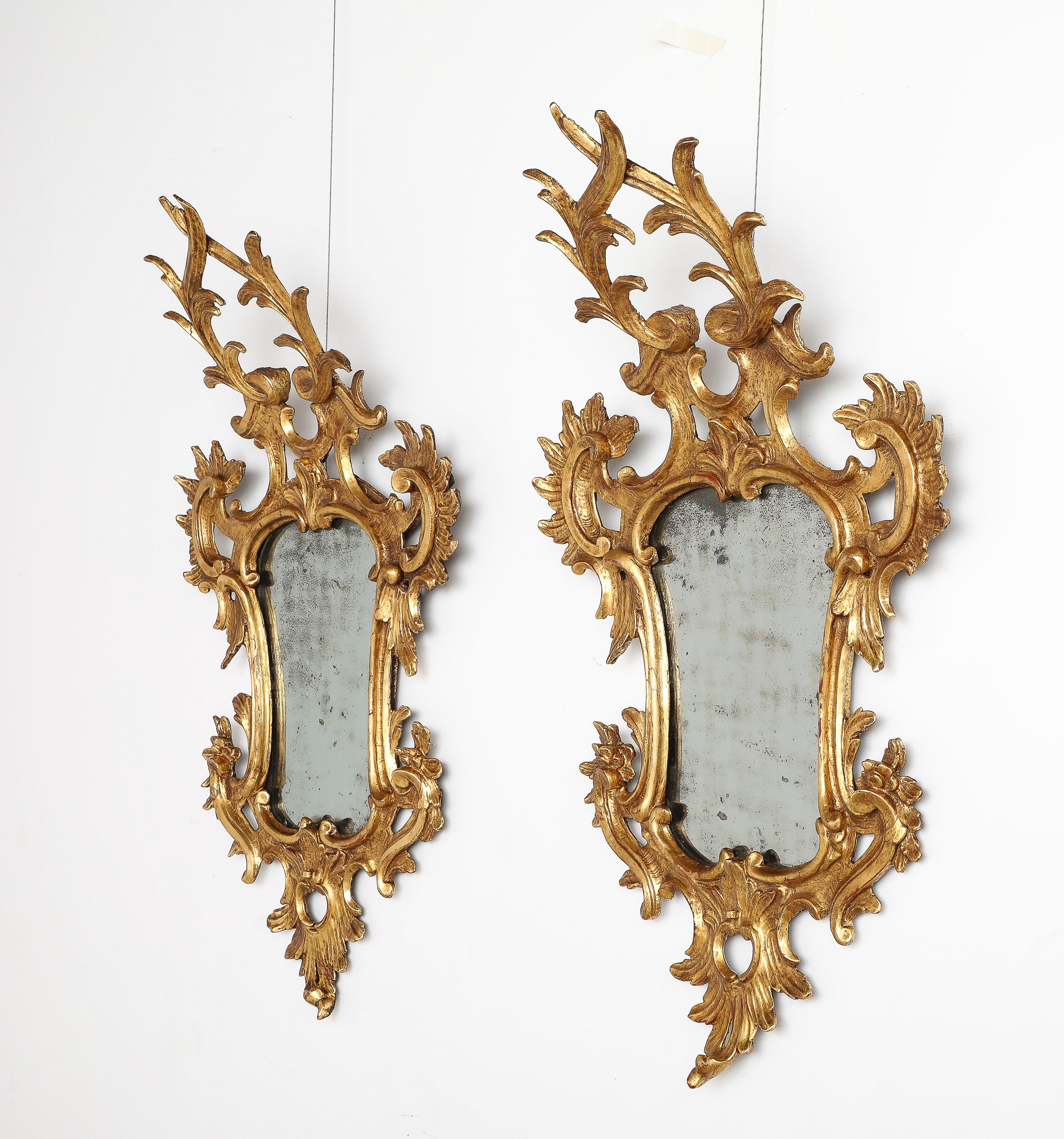 A pair of very fine Northern Italian Rococo carved and gilded wood mirrors.  Of grand scale and elaborately carved in symmetrical form with flowers, scrollwork and rocailles. A metal mount for the candle branches is still attached at the bottom of