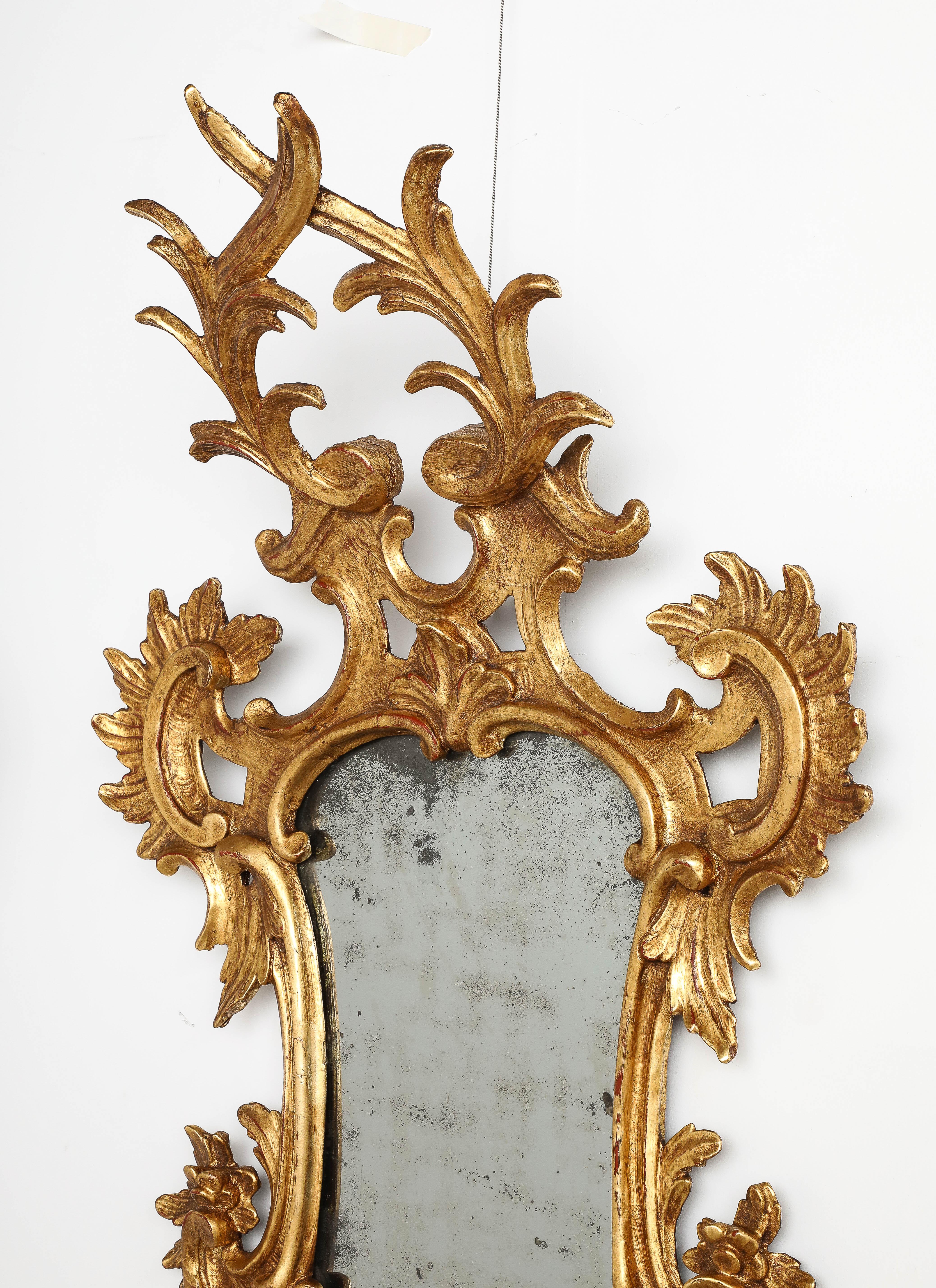 Paar italienische Rokoko geschnitzt und vergoldet Holz Spiegel des achtzehnten Jahrhunderts im Zustand „Gut“ im Angebot in New York, NY