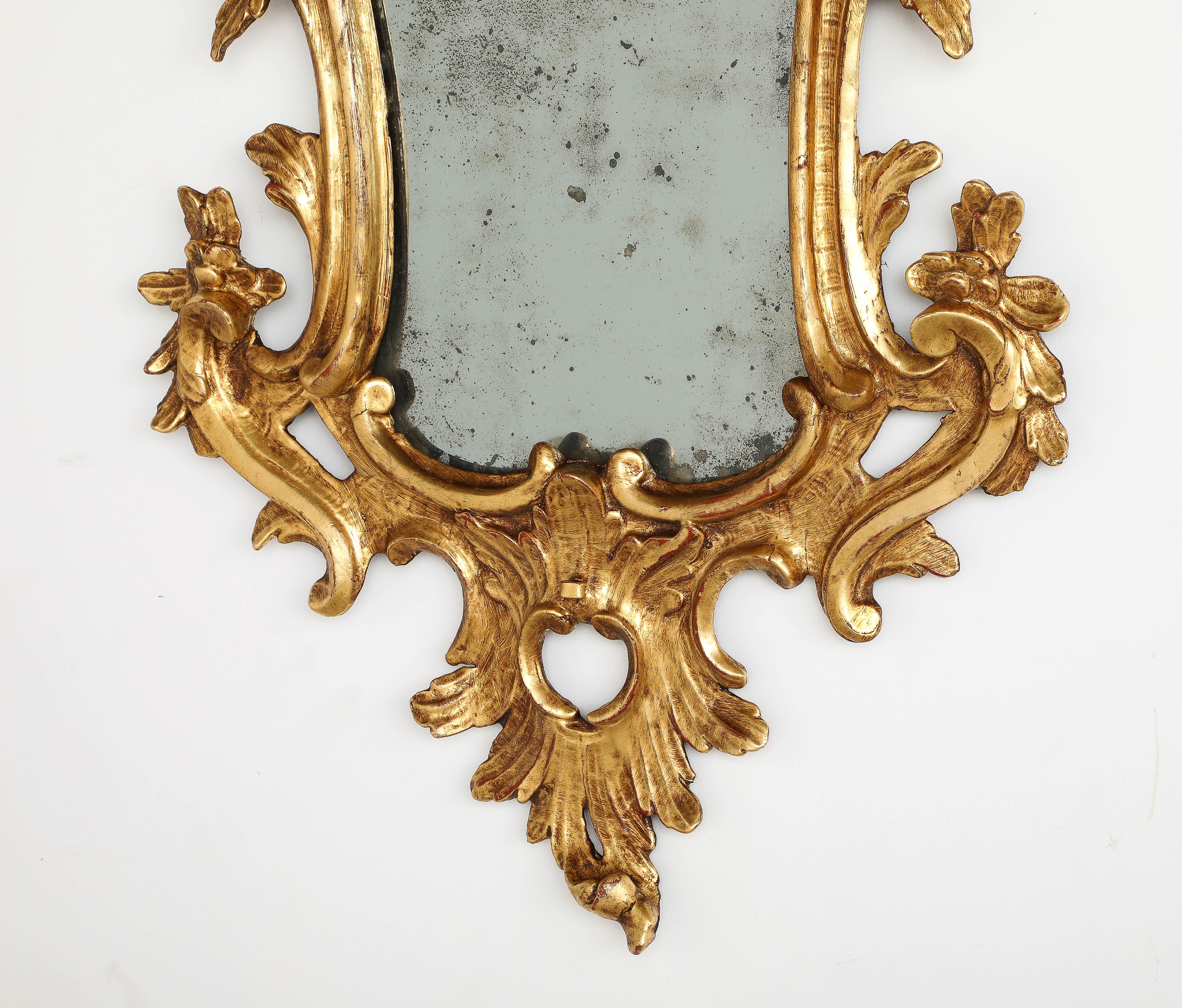 Pair of Italian Eighteenth Century Rococo Carved and Gilded Wood Mirrors For Sale 2