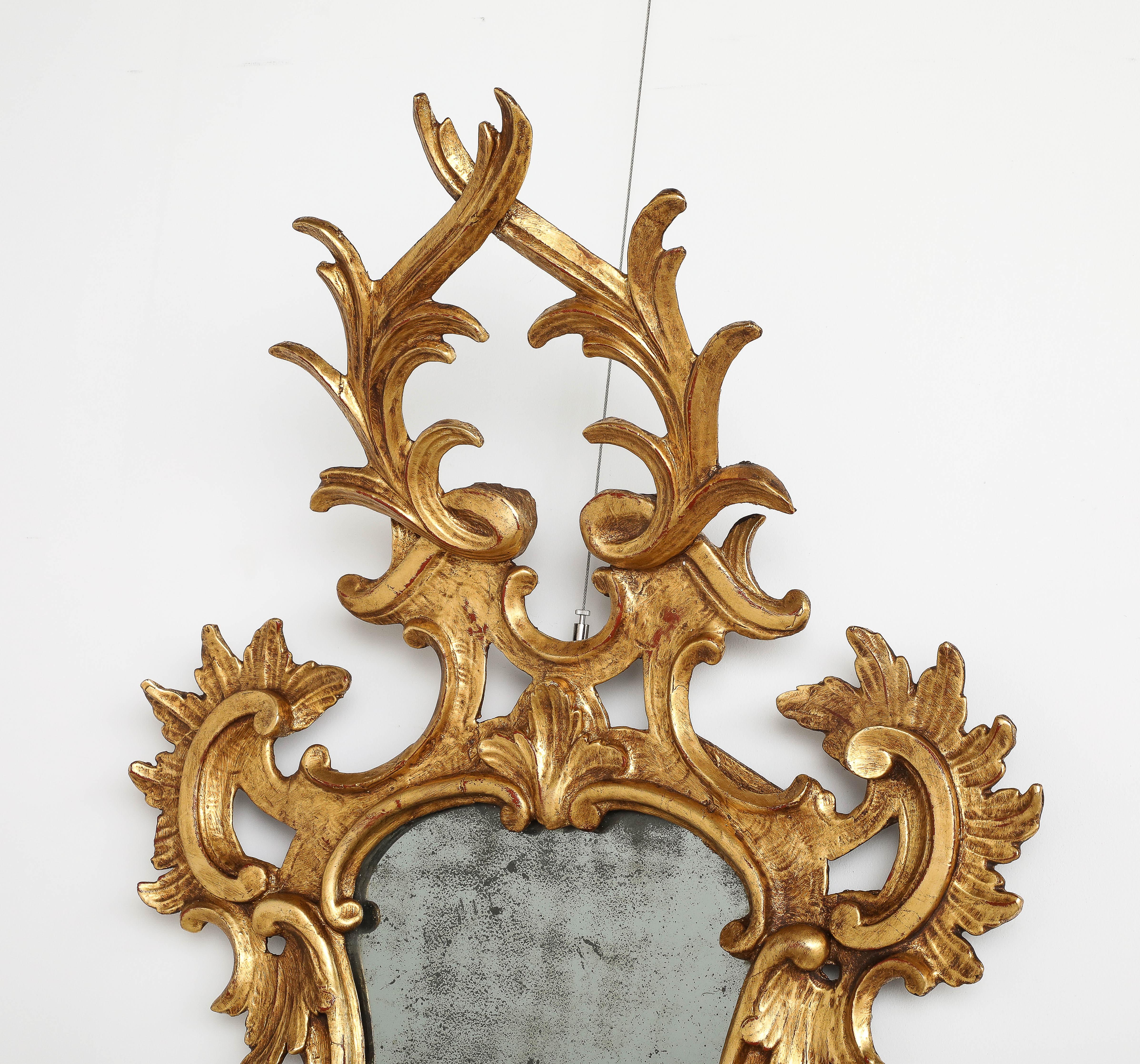 Pair of Italian Eighteenth Century Rococo Carved and Gilded Wood Mirrors For Sale 3