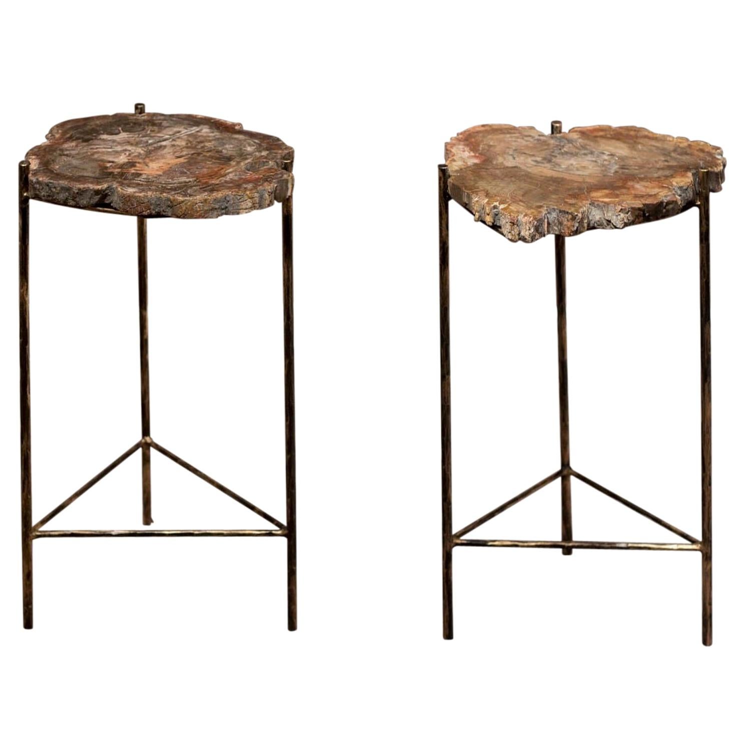Pair of Italian End Tables with Petrified Wood Tops