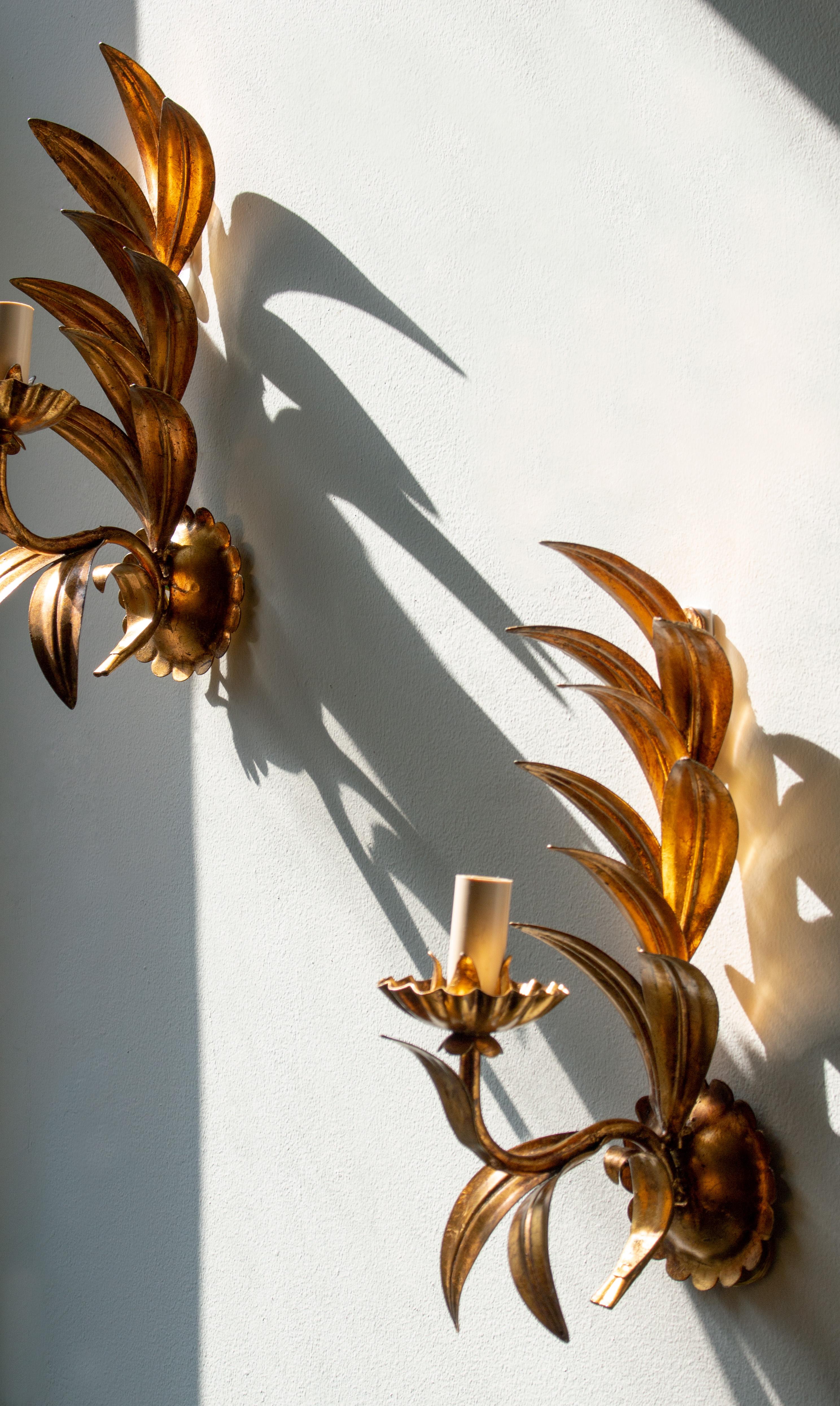 Incredible and unique pair of 'palm leaf' sconces by Hans Kögl. Made during the 1960's in Italy and later sold by Kögl in the rest of Europe. Both are in great and fully original condition, some signs of age and wear.