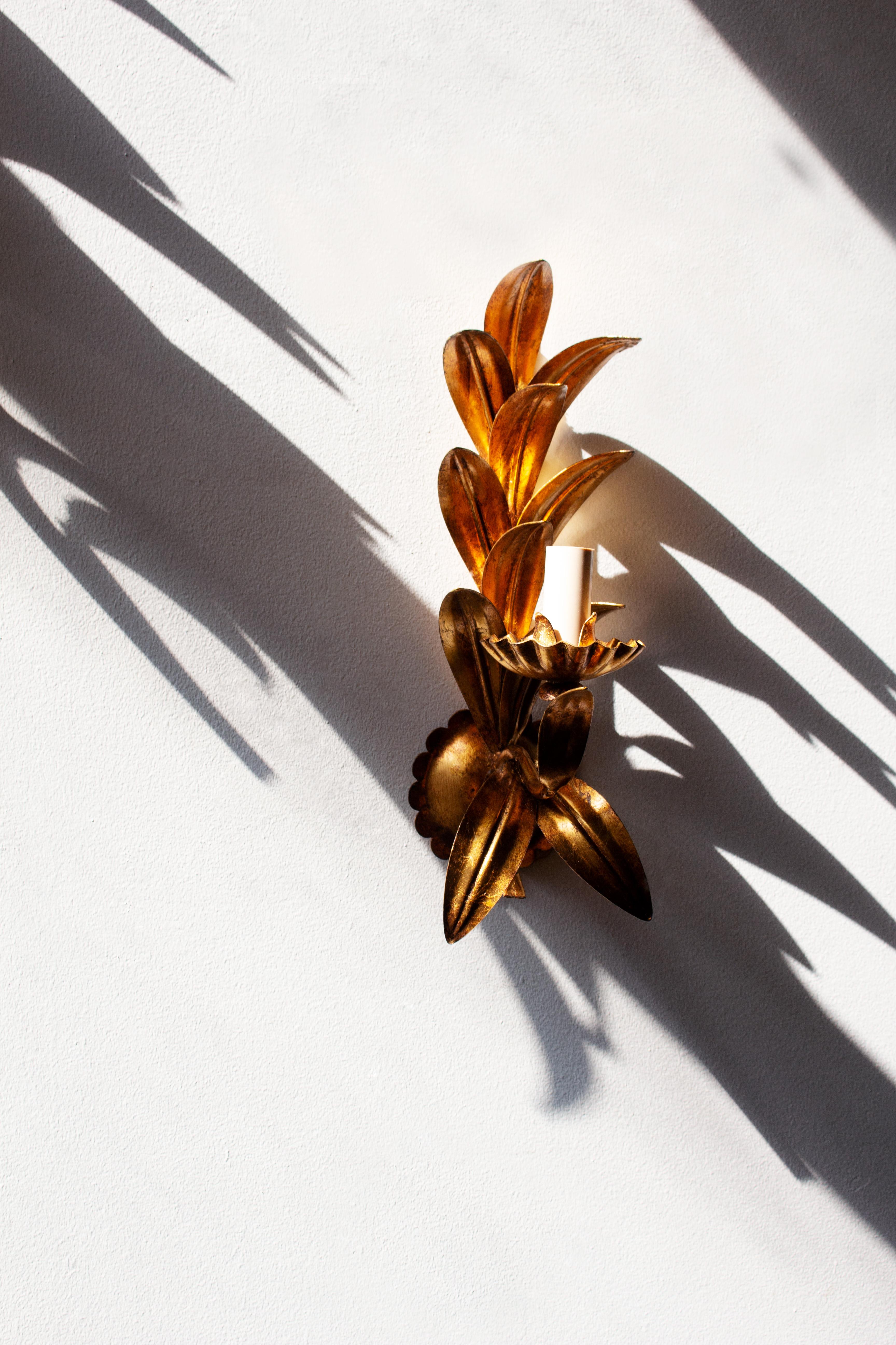 Mid-Century Modern Large Pair of 1960's Italian Gilt Palm Leaf Sconces by Hans Kögl For Sale