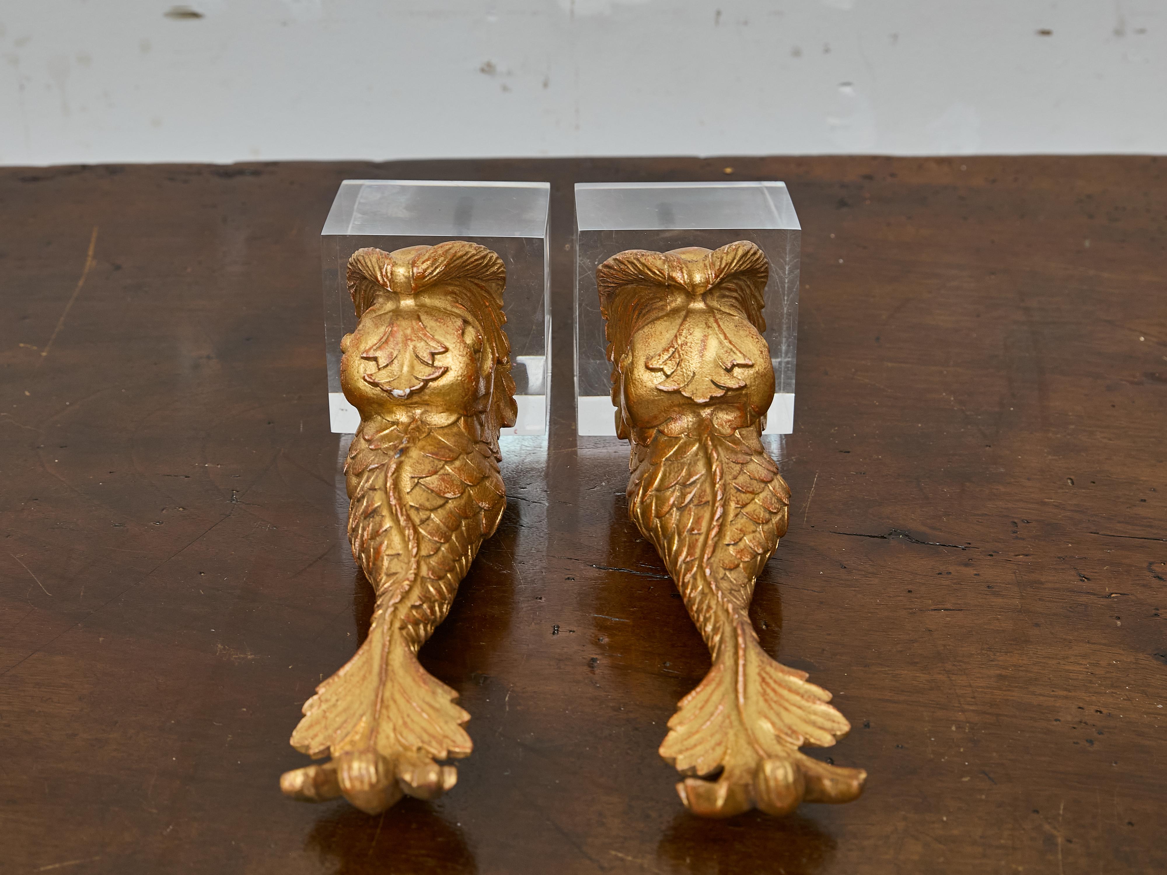 Gesso Pair of Italian Giltwood Dolphin Fragments Made into Table Lamps on Lucite Bases For Sale