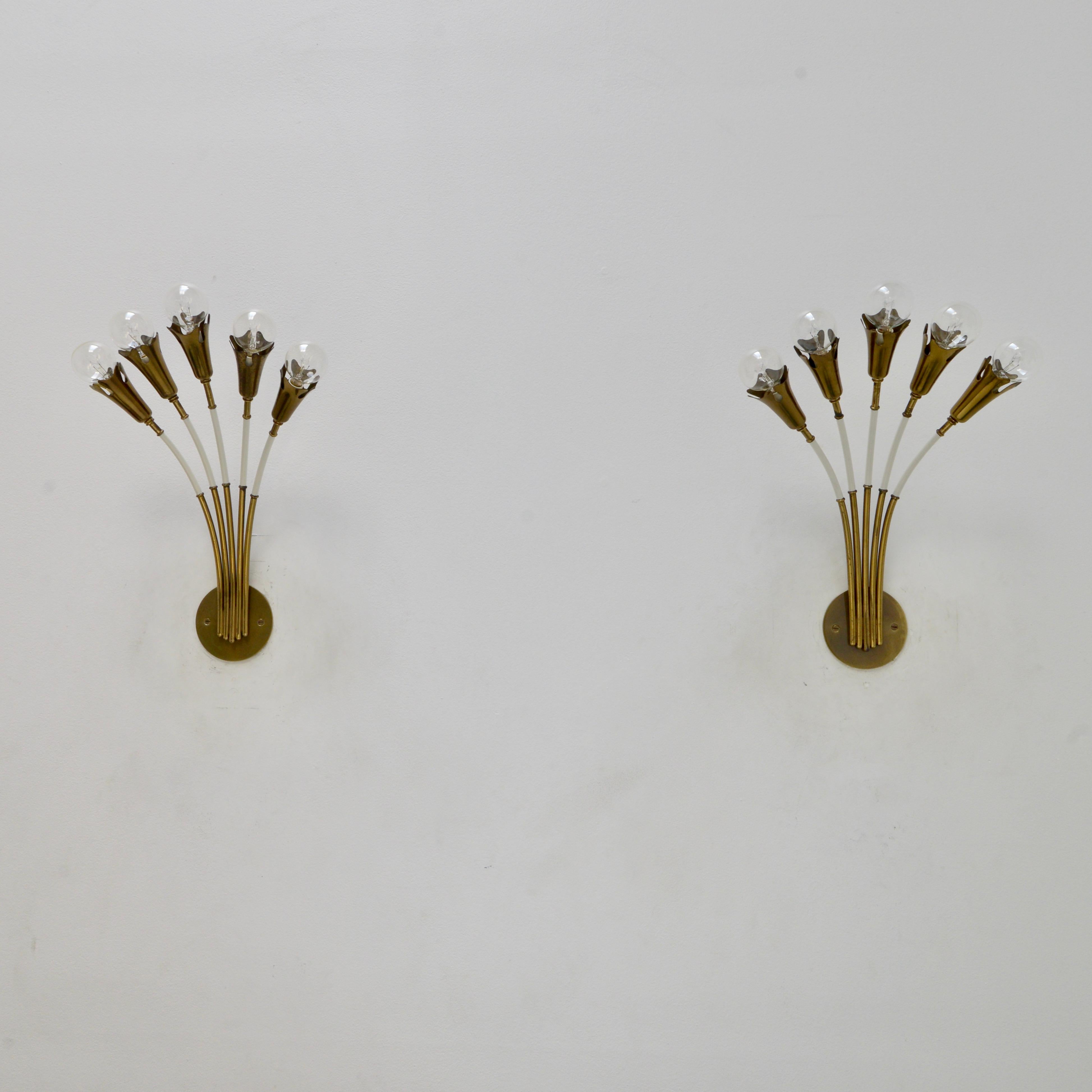 Pair of beautiful large botanical sconces from 1950s Italy. Made in all brass patinated and painted. 5 E12 candelabra based sockets per sconces. Wired for use in the USA. They can also be wired for use anywhere in the world. Lightbulb(s) included