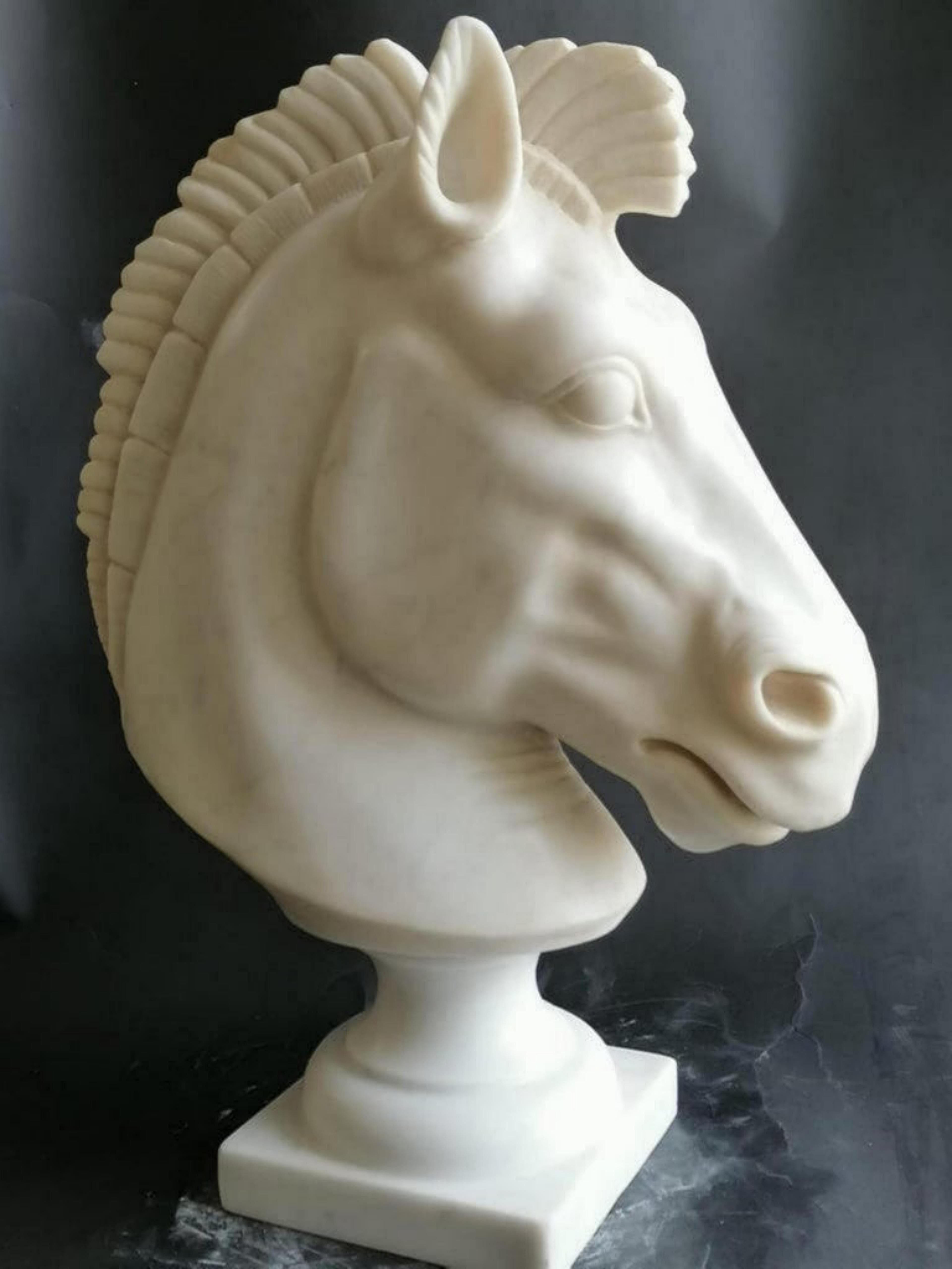Paar italienische Carrara-Skulpturen aus Marmor „Horse Head“ aus dem 20. Jahrhundert, H: 40 cm (Moderne) im Angebot