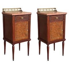 Pair of Italian Marquetry Nightstands with Bronze Crest, drawers and doors