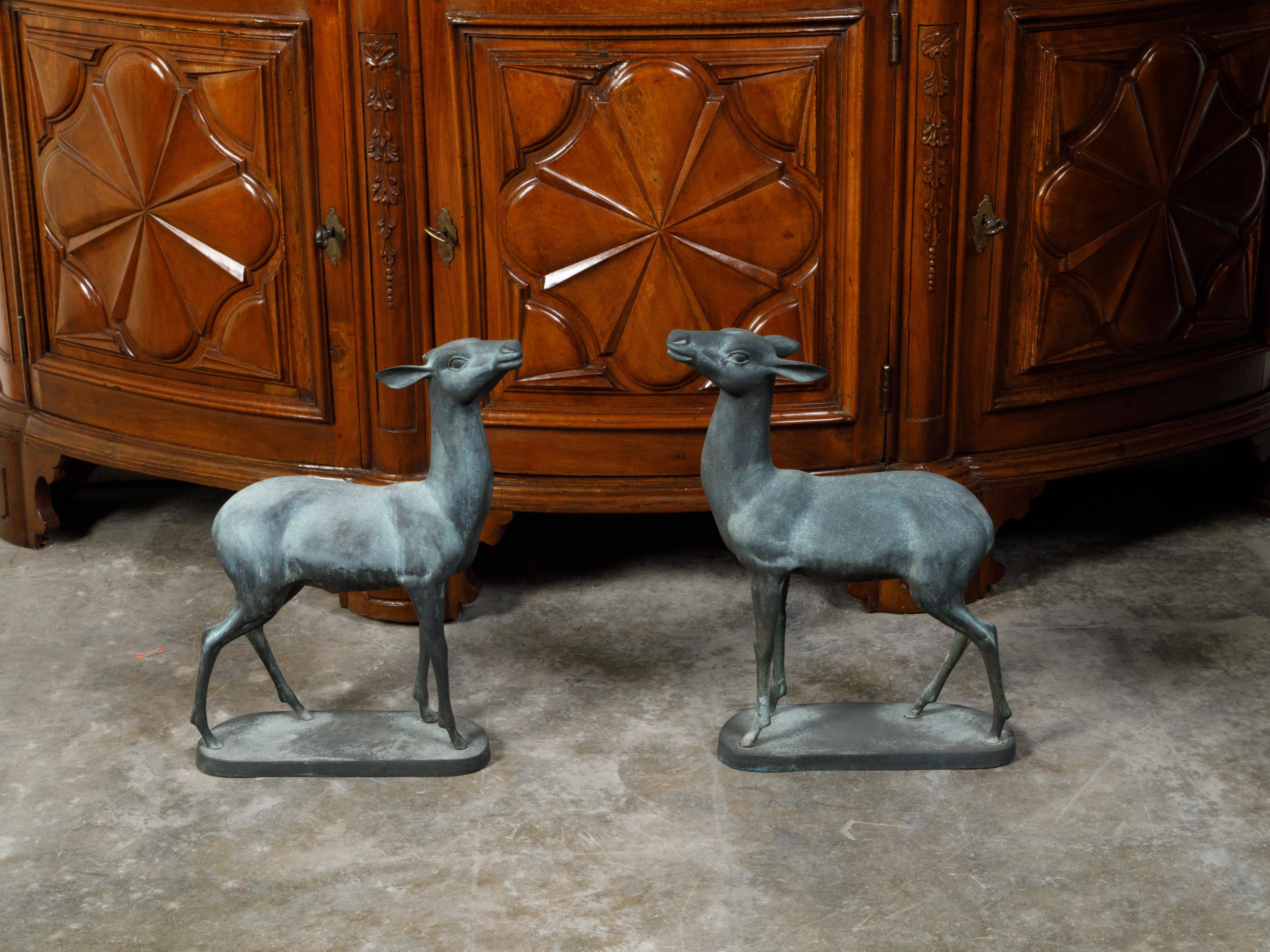 A vintage pair of Italian bronze deer sculptures from the mid 20th century, with bases. Created in Italy during the Midcentury period, this pair of Italian bronze sculptures captures our attention with its lovely depiction of two small deer standing