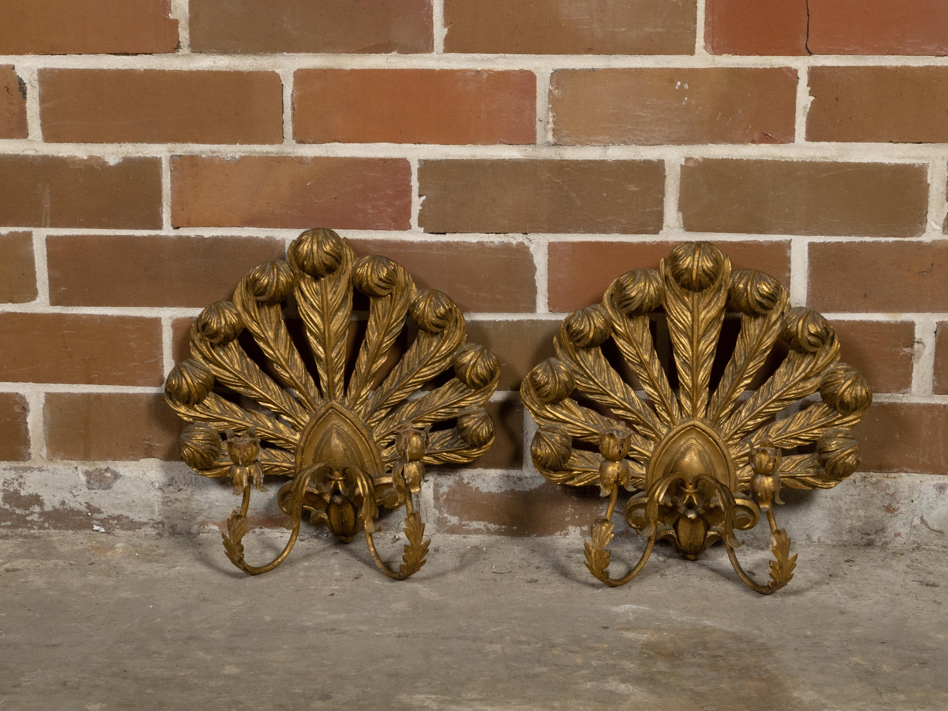A pair of Italian giltwood candle sconces from the mid 20th century, with two arms, carved feathers and acanthus leaves. Created in Italy during the Midcentury period, each of this pair of candle sconces captures our attention with its delicate