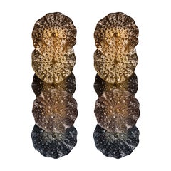 Pair of Italian Multicolour Murano Glass and Brass Wall Sconces