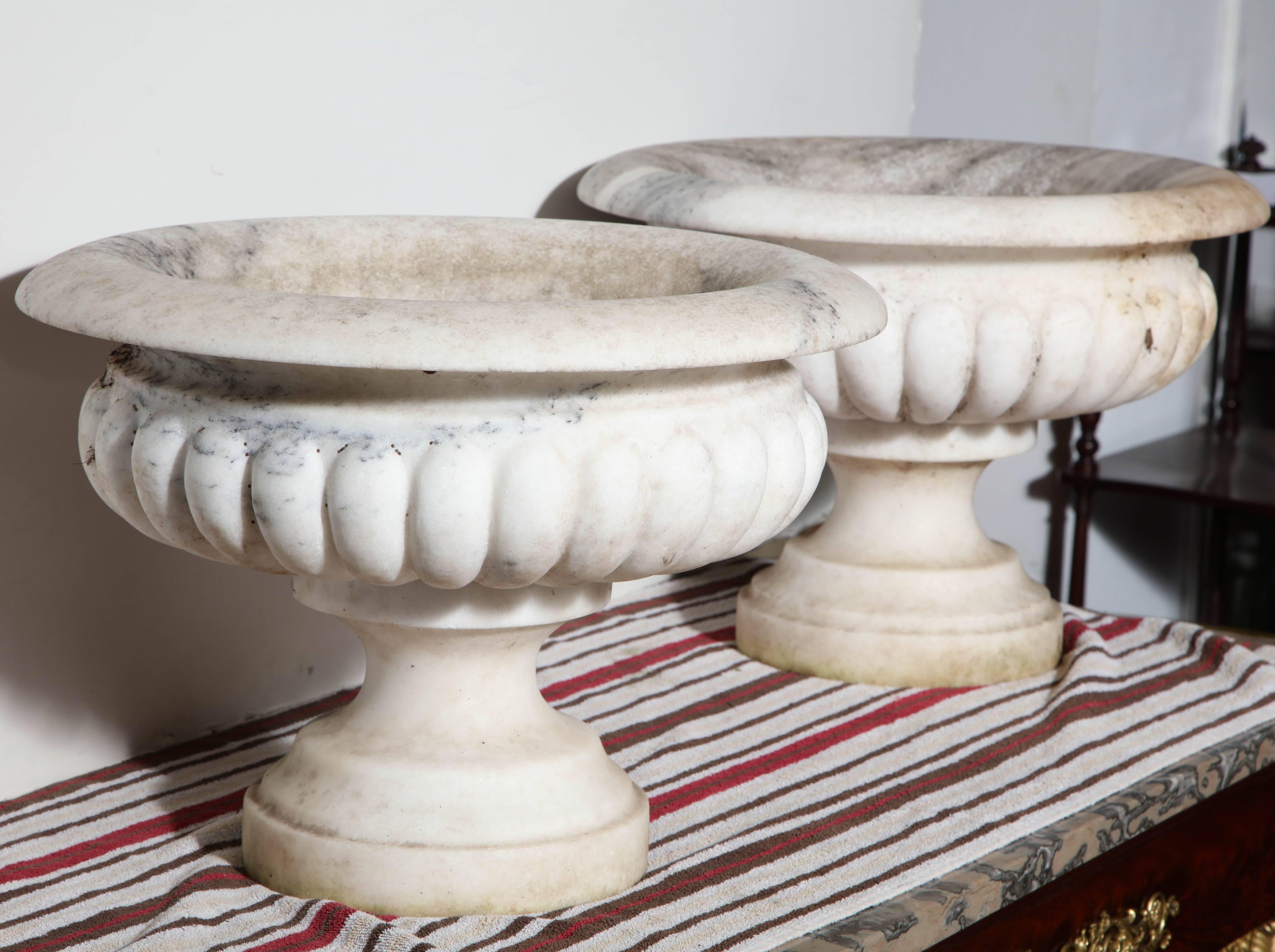 Pair of Italian neoclassic carved marble urn form Carrara Tazza.