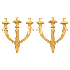 Coppia di appliques italiane neoclassiche in legno dorato intagliato