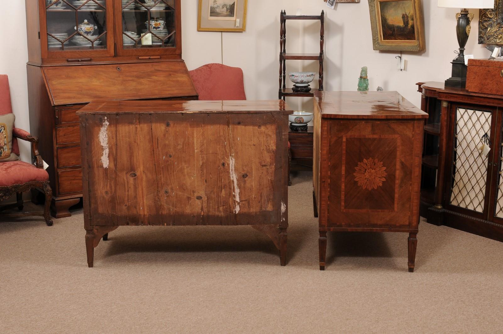 Pair of Italian Neoclassical Walnut Commodes with Foliage Design, 19th Century For Sale 8