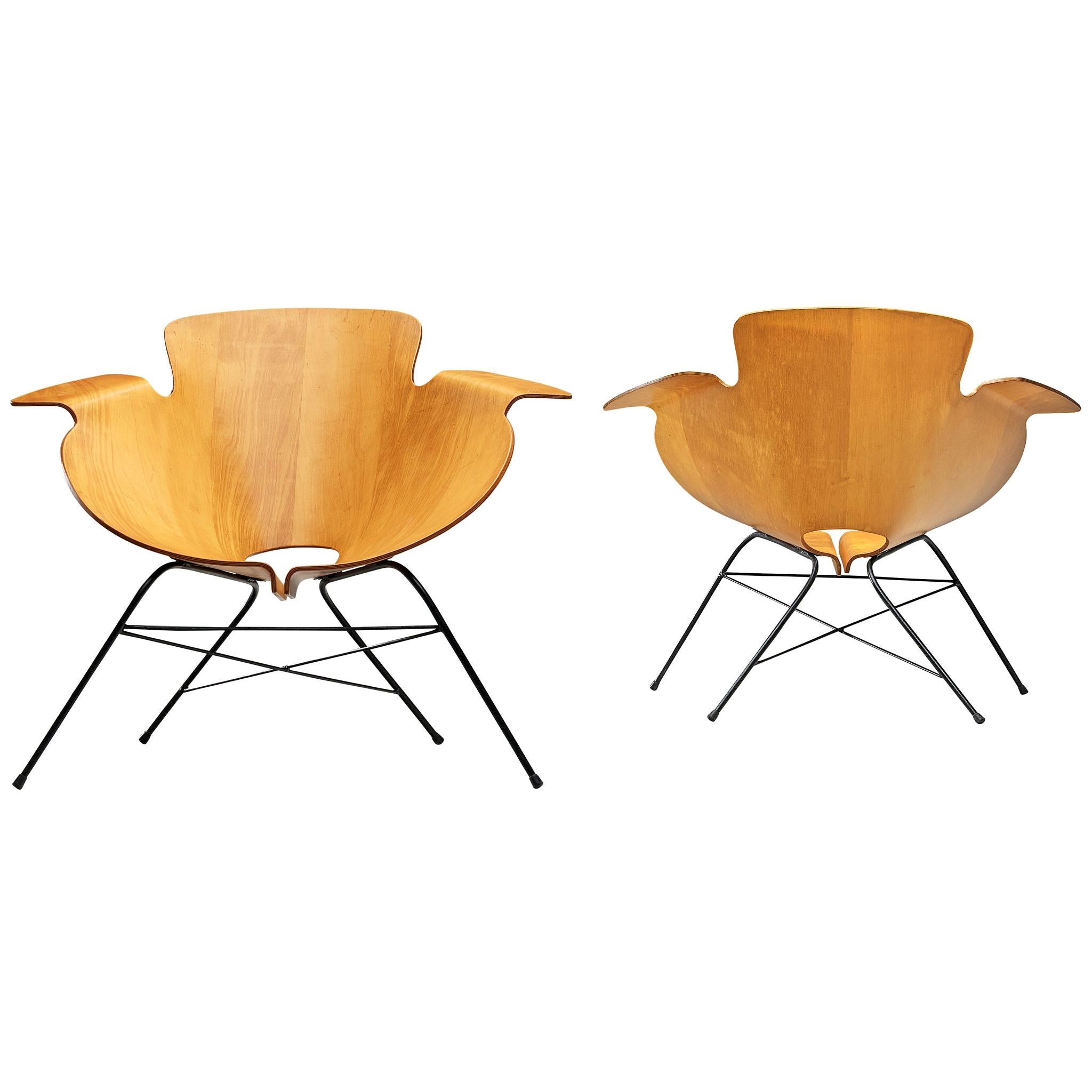 Pair of Italian Plywood Chairs, 1960s