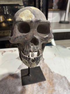 Pair of Italian Sculptures "Skull" and "Hand" in painted plaster, 20th century