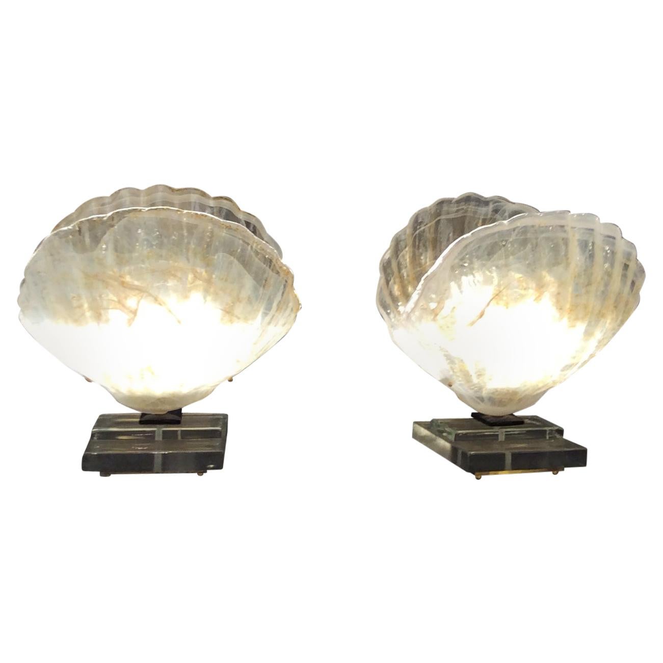 Italian Shell Table Lamp in Murano Glass Style of Barovier & Toso, 1970
