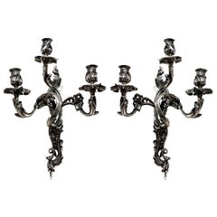 Rococo Wall Lights and Sconces