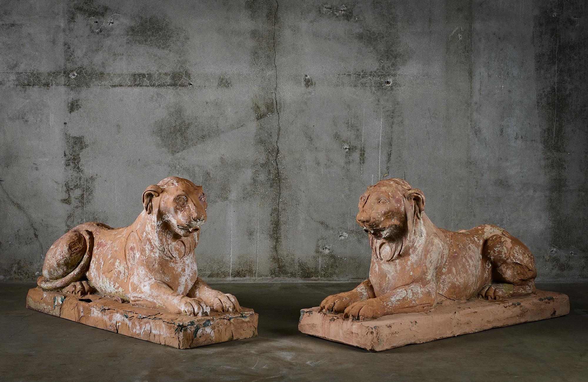 Pair of Italian Terracotta Lions 5