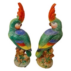 Pair of Italian Vintage Porcelain Parrots by Ugo Zaccagnini 1950s