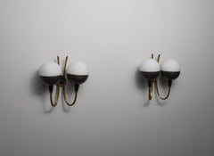 Pair of Italian Wall Sconces in Brass and Opaline Glass, 1950s
