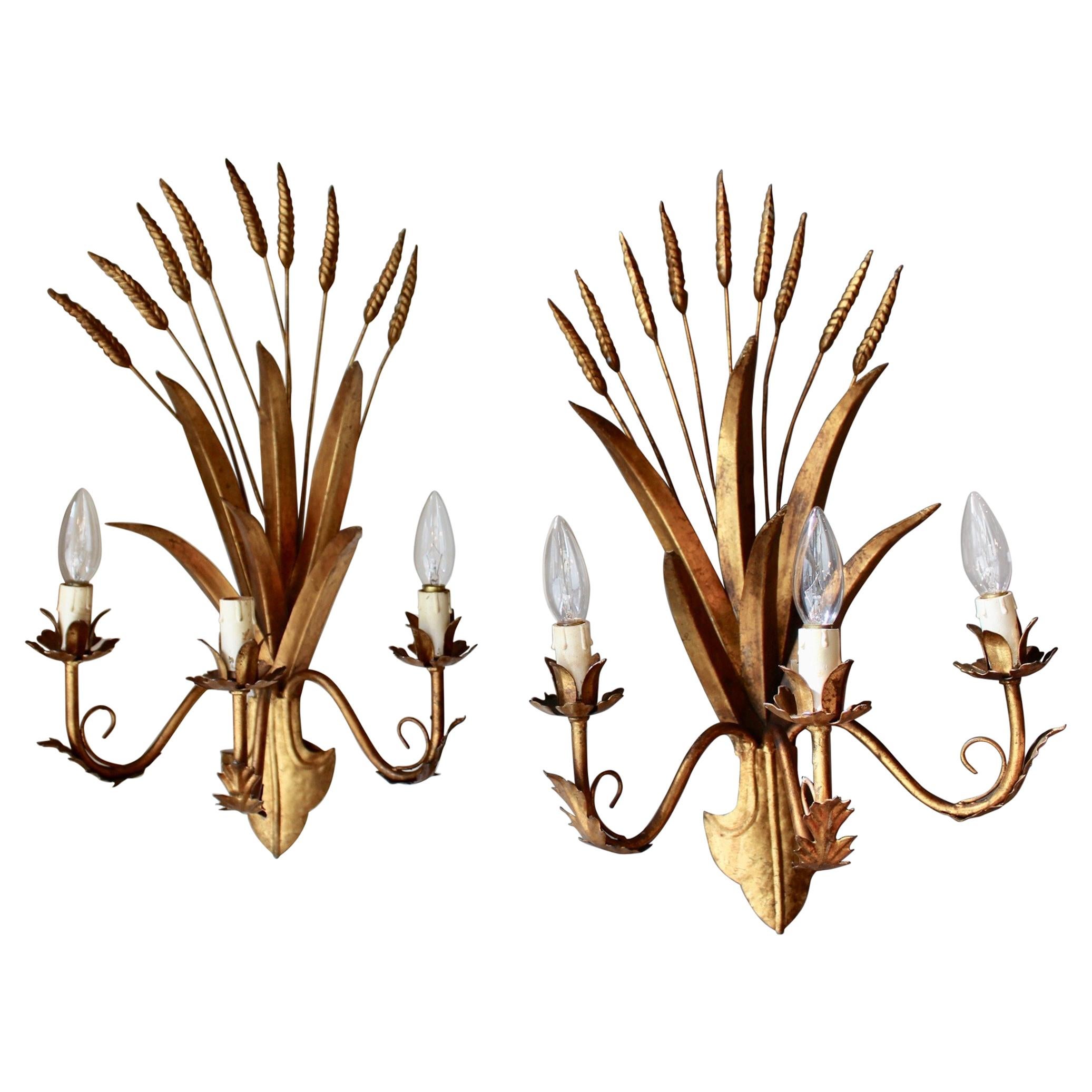 Pair of Italian gilt Sconce