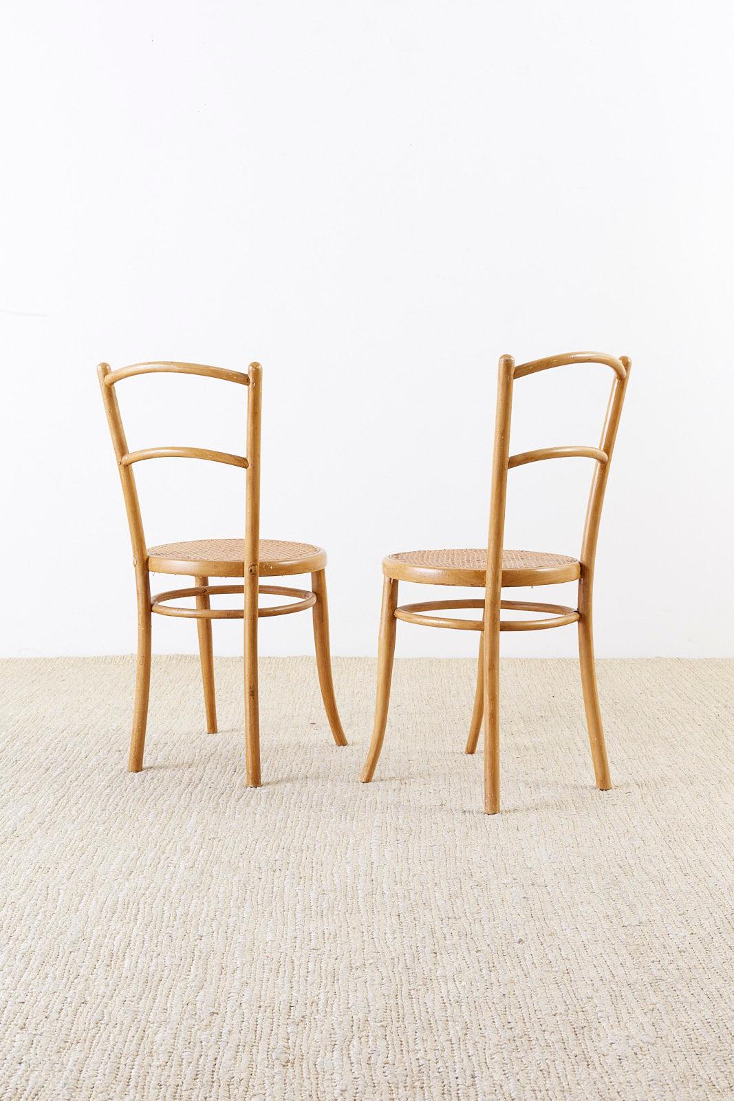 Pair of J. and J. Kohn Austrian Bentwood and Cane Chairs For Sale 7