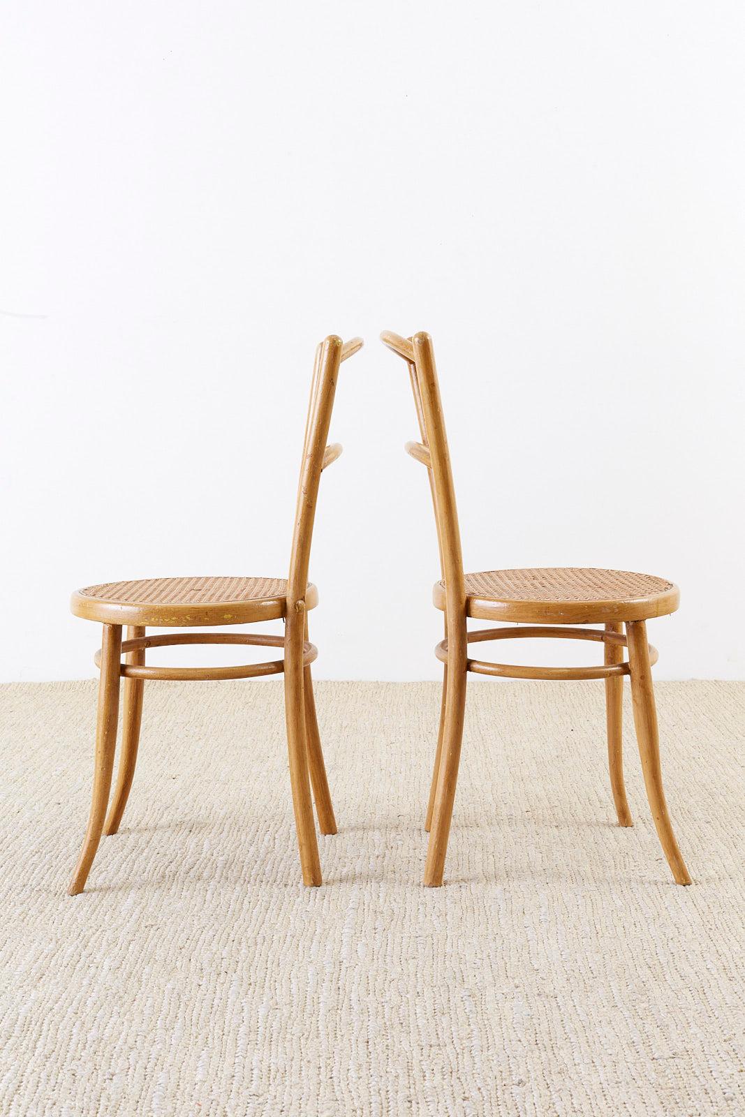 Pair of J. and J. Kohn Austrian Bentwood and Cane Chairs For Sale 9
