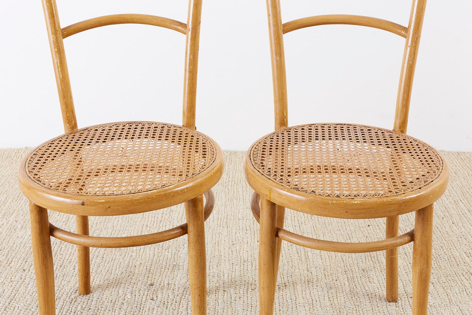 Ein Paar österreichische Stühle aus Bugholz und Schilfrohr von J. und J. Kohn (Österreichisch) im Angebot