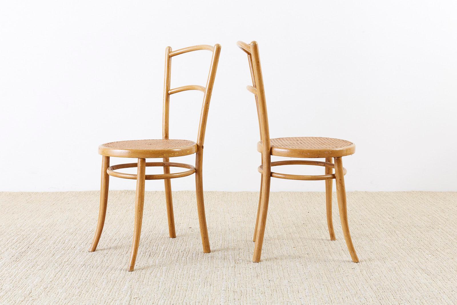 Vienna Secession Pair of J. and J. Kohn Austrian Bentwood and Cane Chairs For Sale