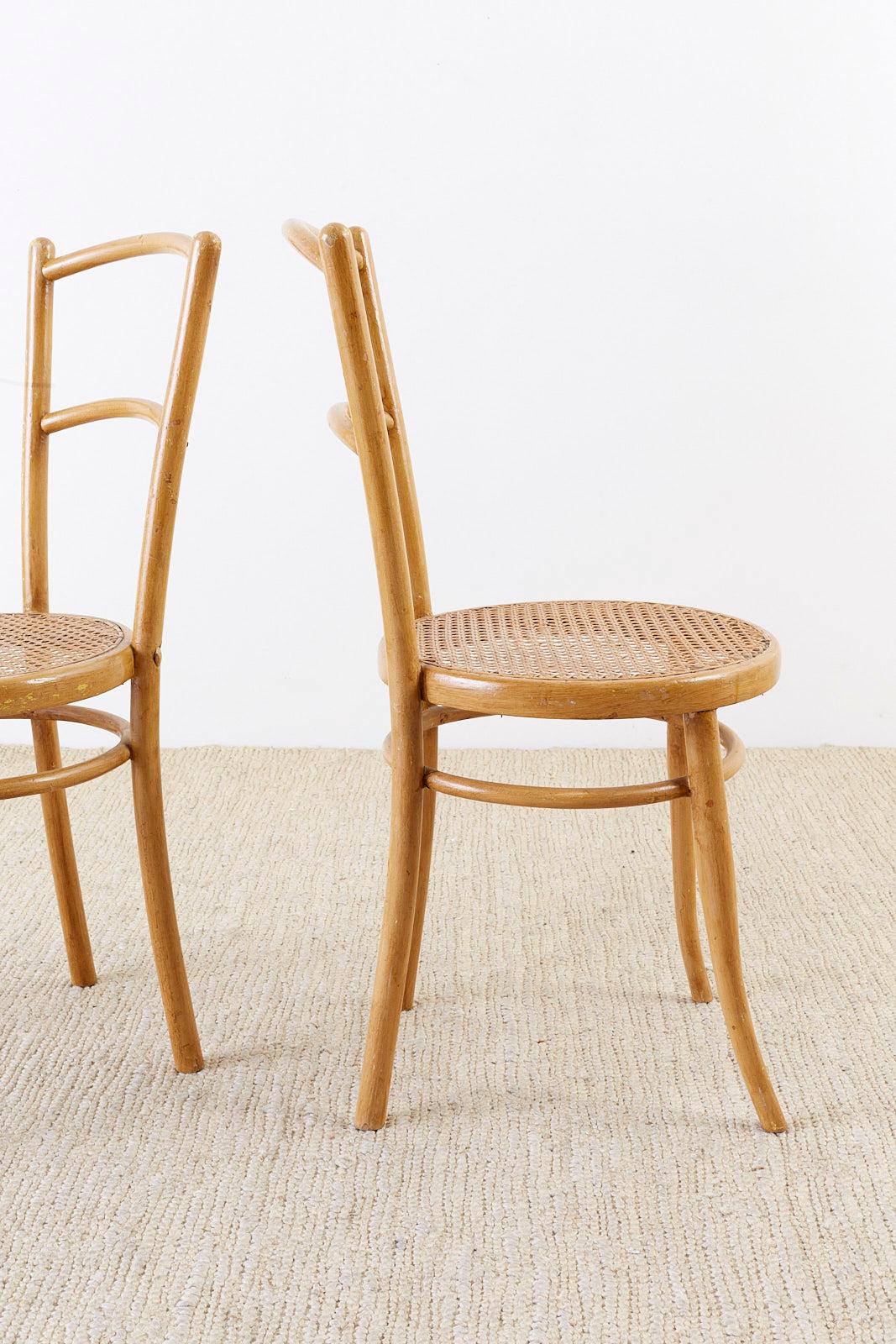 Ein Paar österreichische Stühle aus Bugholz und Schilfrohr von J. und J. Kohn (Gehstock) im Angebot