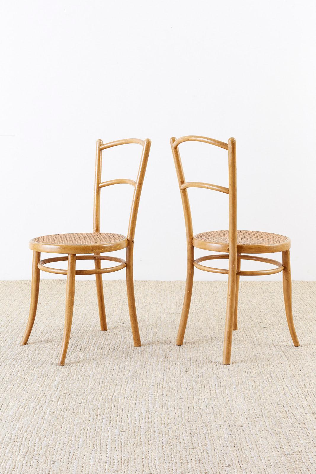 20th Century Pair of J. and J. Kohn Austrian Bentwood and Cane Chairs For Sale