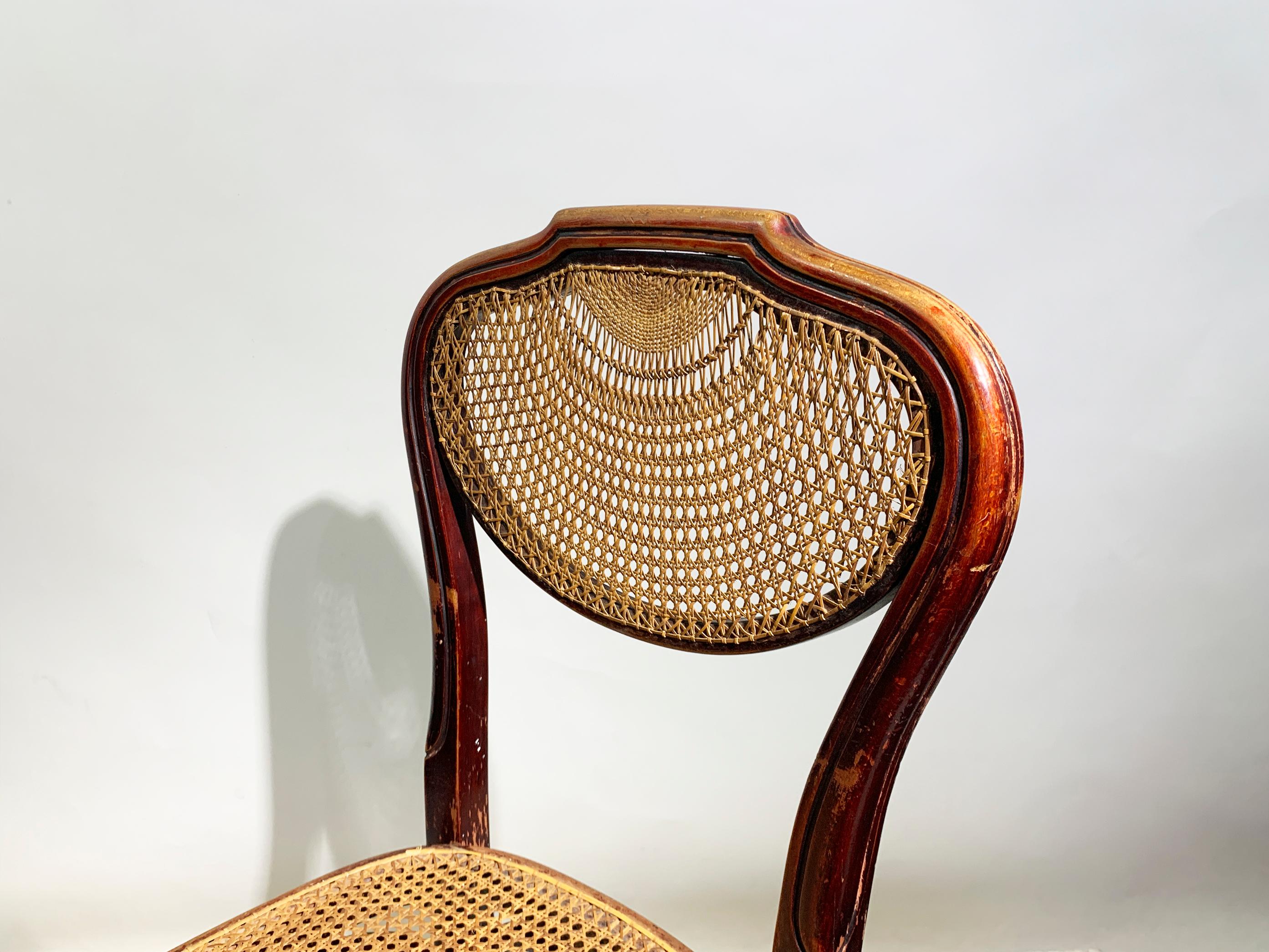 Paire de chaises J. & J. Kohn en bois courbé et en canne, Teschen, Autriche, vers 1900 en vente 5