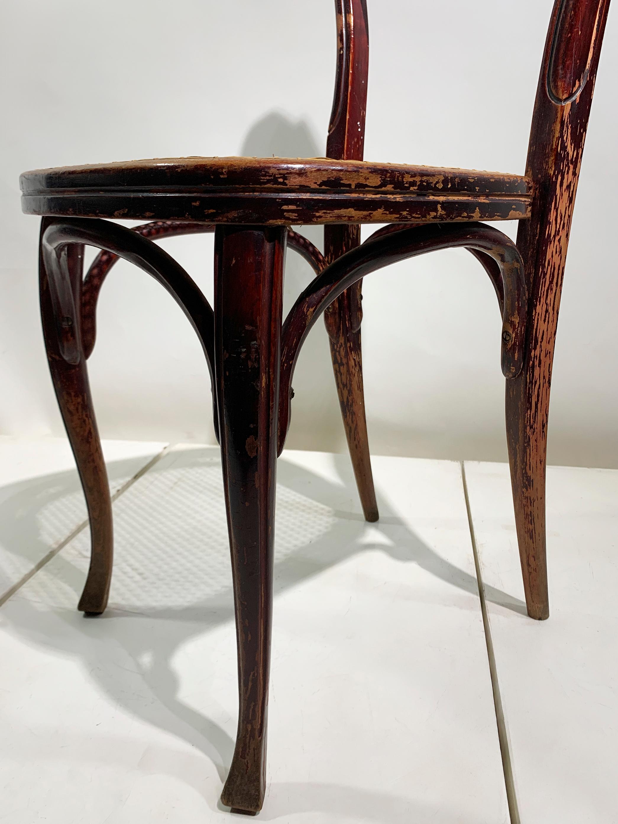 Paire de chaises J. & J. Kohn en bois courbé et en canne, Teschen, Autriche, vers 1900 en vente 6
