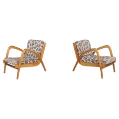 Pair of Jan Vaněk Curved Easy Chairs in Ash with Original Upholstery, CZ 1950s