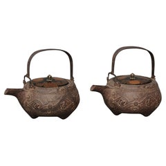 Pair of Japanese cast iron chôshi 銚子 (sake kettles) with lacquered lids