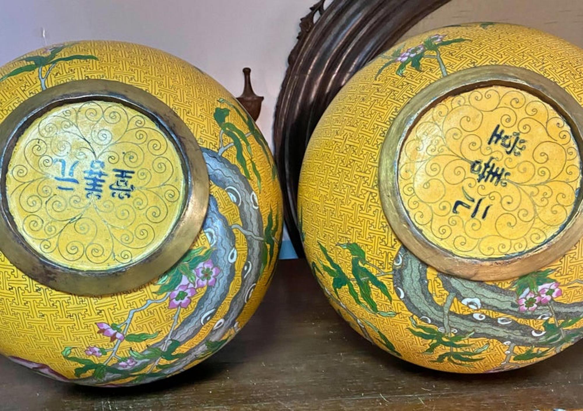 Pair of Jars Chinese from the 19th Century 4