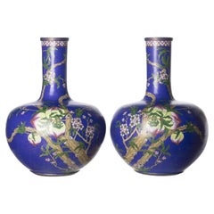 Pair of Jars Chinese from the 19th Century