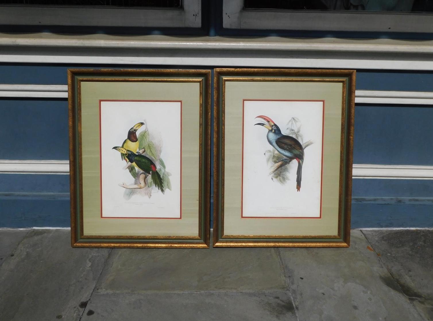 Paire de lithographies de John Gould encadrées et colorées à la main, famille de toucans. 