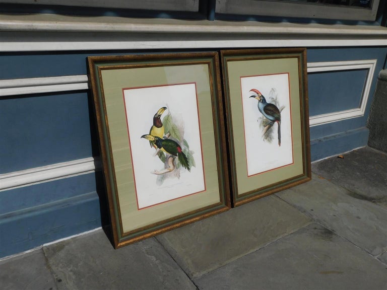William IV Pair of John Gould Hand Colored Framed Lithographs Family of Toucans, Circa 1840 For Sale