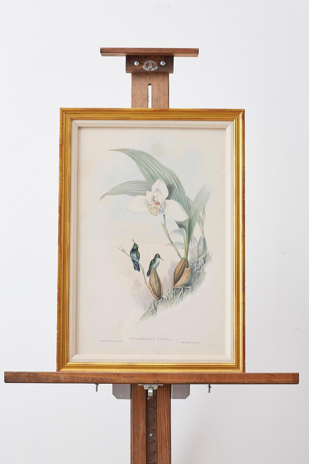 Pair of John Gould Ornithological Colored Hummingbird Prints 3