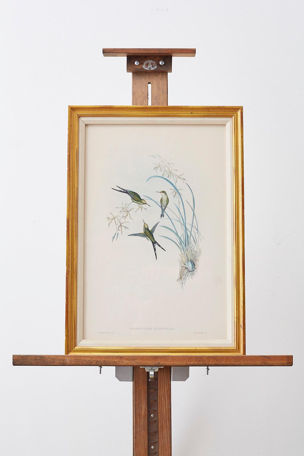 Glass Pair of John Gould Ornithological Colored Hummingbird Prints