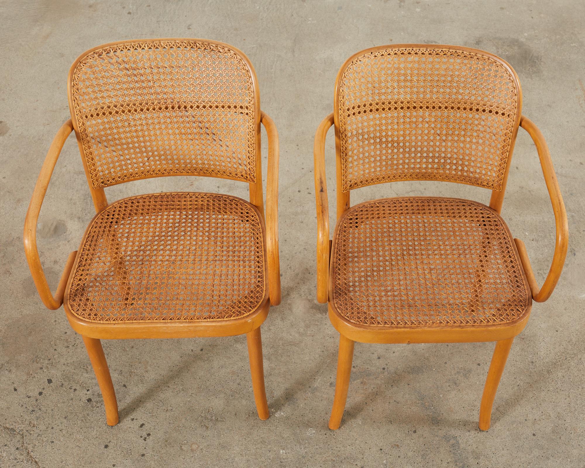 Polish Pair of Josef Hoffman for Thonet Prague Bentwood Dining Chairs  For Sale