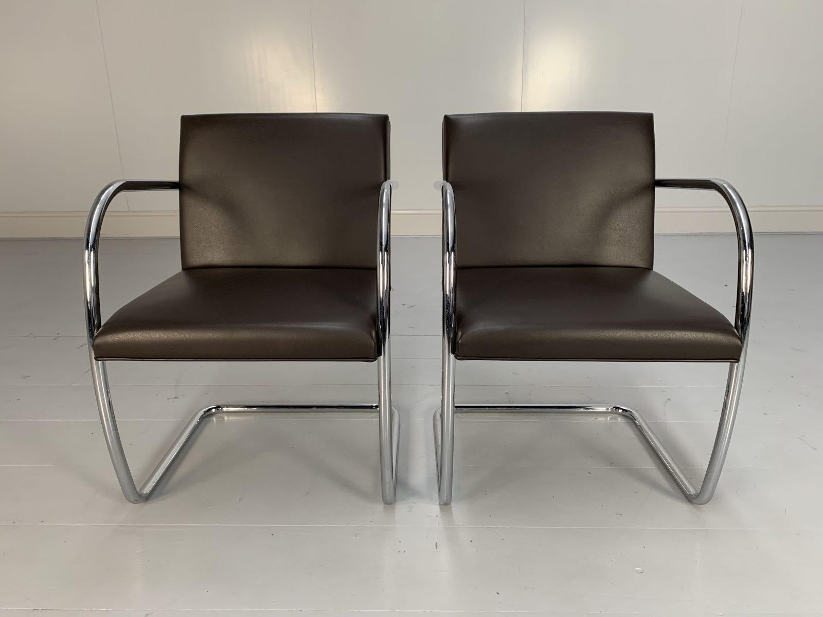 Pair of Knoll Studio “Brno Tubular” Lounge Chair Armchairs in Dark Brown Leather In Good Condition For Sale In Barrowford, GB