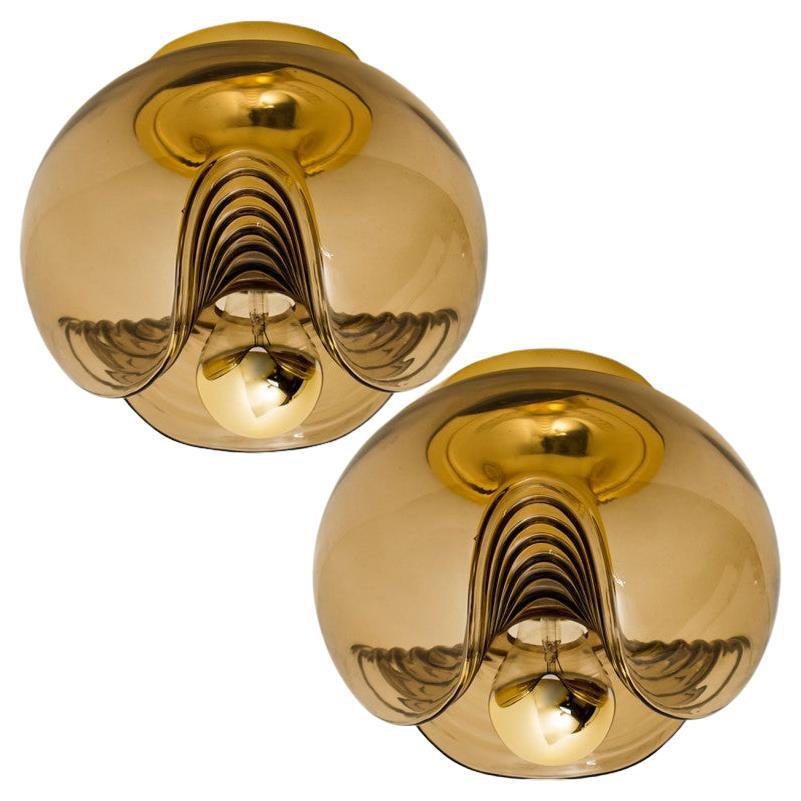 Pair of Koch & Lowy Smoked Glass Wall or Flush Lights by Peill Putzler, 1970
