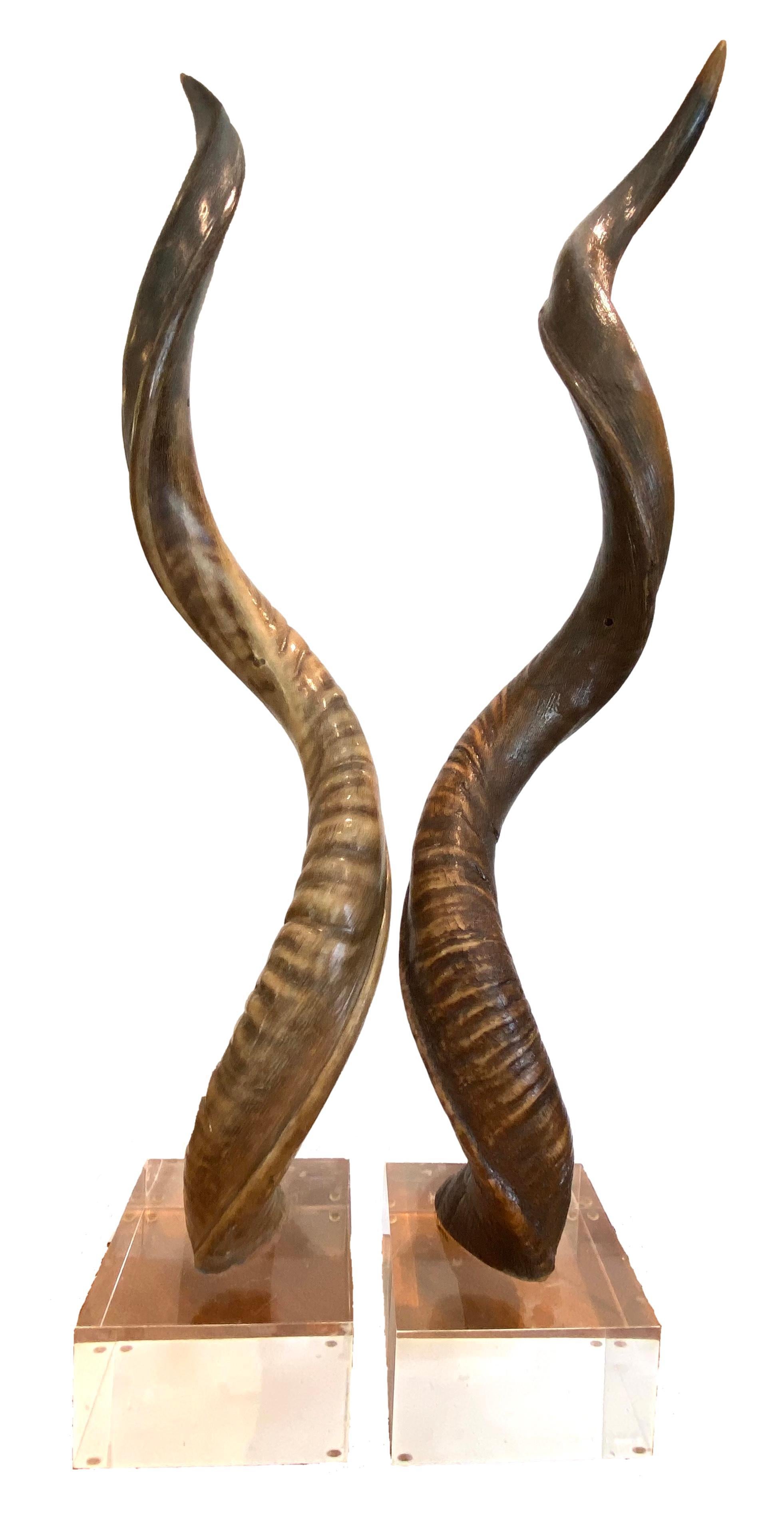 Pair of Kudo Horns Mounted on Lucite For Sale 6