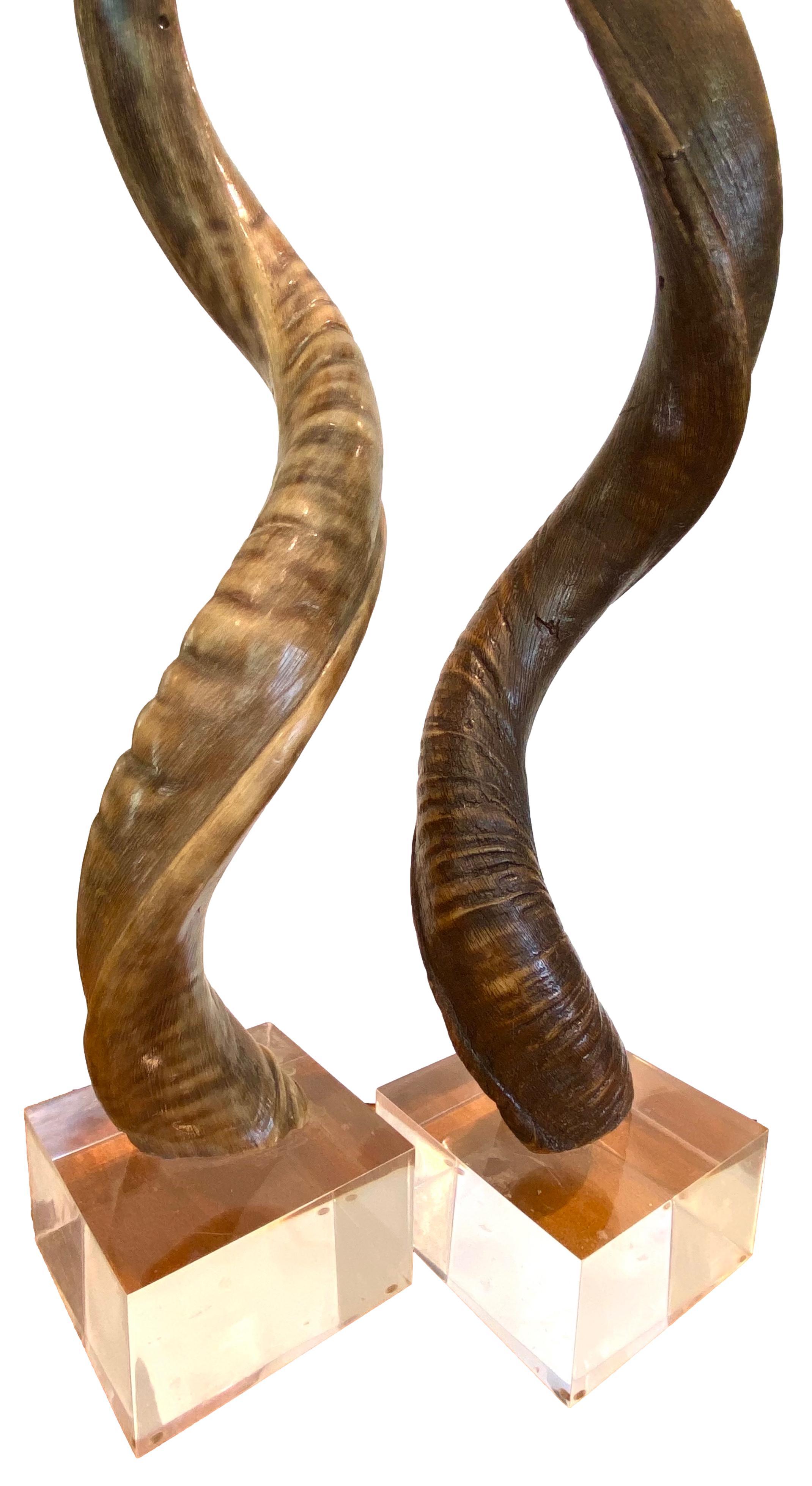 Pair of Kudo Horns Mounted on Lucite For Sale 7